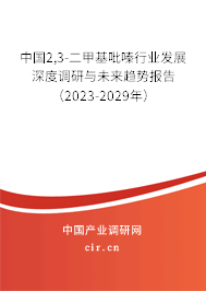 中國2,3-二甲基吡嗪行業(yè)發(fā)展深度調研與未來趨勢報告(2023-2029年) 中國2,3-二甲基吡嗪行業(yè)發(fā)展深度調研與未來趨勢報告(2023-2029年)