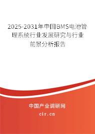 2025-2031年中國BMS電池管理系統行業發展研究與行業前景分析報告