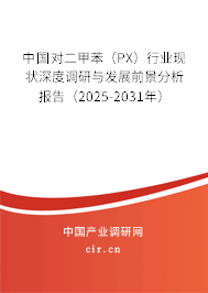 中國對二甲苯(PX)行業現狀深度調研與發展前景分析報告(2025-2031年) 中國對二甲苯(PX)行業現狀深度調研與發展前景分析報告(2025-2031年)
