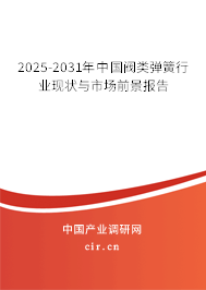 2025-2031年中國閥類彈簧行業現狀與市場前景報告