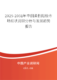 2025-2031年中國柔性陽極市場現狀調研分析與發展趨勢報告