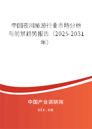 中國夜間旅游行業市場分析與前景趨勢報告（2025-2031年）