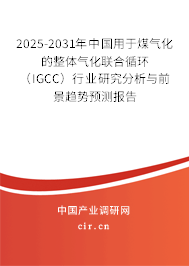 2025-2031年中國用于煤氣化的整體氣化聯合循環（IGCC）行業研究分析與前景趨勢預測報告