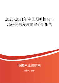 2025-2031年中國照明模塊市場研究與發展前景分析報告