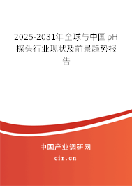 2025-2031年全球與中國pH探頭行業現狀及前景趨勢報告 2025-2031年全球與中國pH探頭行業現狀及前景趨勢報告