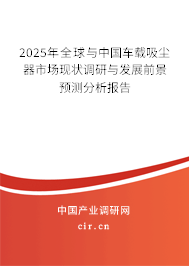 2025年全球與中國車載吸塵器市場現狀調研與發展前景預測分析報告