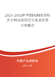 2025-2031年中國電網融資租賃市場調查研究與發展前景分析報告