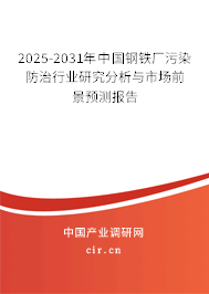 2025-2031年中國鋼鐵廠污染防治行業研究分析與市場前景預測報告