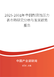 2025-2031年中國耐腐蝕壓力表市場研究分析與發展趨勢報告