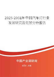 2025-2031年中國汽車燈行業發展研究及前景分析報告
