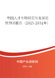 中國人才市場研究與發展前景預測報告（2025-2031年）
