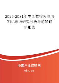 2025-2031年中國數控火焰切割機市場研究分析與前景趨勢報告