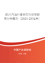 四川汽油行業研究與前景趨勢分析報告（2025-2031年）