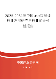 2025-2031年中國usb數(shù)據(jù)線行業(yè)發(fā)展研究與行業(yè)前景分析報告