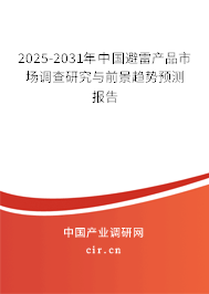 2025-2031年中國避雷產品市場調查研究與前景趨勢預測報告