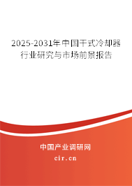 2025-2031年中國干式冷卻器行業(yè)研究與市場前景報告