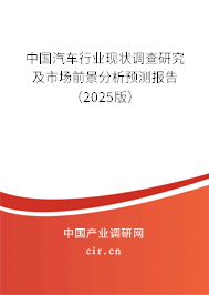 中國汽車行業(yè)現(xiàn)狀調(diào)查研究及市場前景分析預測報告（2025版）
