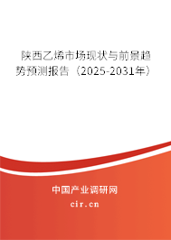 陜西乙烯市場現(xiàn)狀與前景趨勢預測報告（2025-2031年）