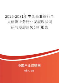2025-2031年中國商業銀行個人信貸業務行業發展現狀調研與發展趨勢分析報告
