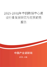2025-2031年中國數據中心建設行業發展研究與前景趨勢報告