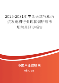 2025-2031年中國(guó)天然氣和丙烷發(fā)電機(jī)行業(yè)現(xiàn)狀調(diào)研與市場(chǎng)前景預(yù)測(cè)報(bào)告