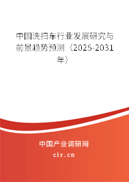 中國洗掃車行業發展研究與前景趨勢預測（2025-2031年）