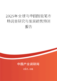 2025年全球與中國智能筆市場調(diào)查研究與發(fā)展趨勢預(yù)測報告