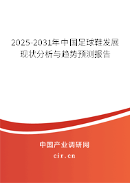 2025-2031年中國足球鞋發(fā)展現(xiàn)狀分析與趨勢預(yù)測報(bào)告