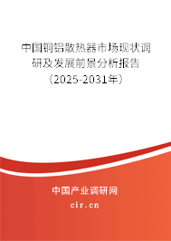中國銅鋁散熱器市場現狀調研及發展前景分析報告（2025-2031年）