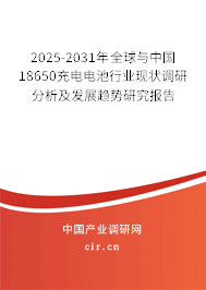 2025-2031年全球與中國18650充電電池行業現狀調研分析及發展趨勢研究報告