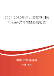 2024-2030年河北廢鋼鐵回收行業研究與前景趨勢報告