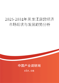 2025-2031年黑龍江露營經濟市場現狀與發展趨勢分析