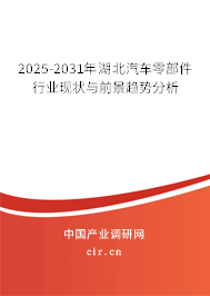 2025-2031年湖北汽車零部件行業現狀與前景趨勢分析