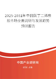 2024-2030年中國氯丁二烯橡膠市場全面調研與發展趨勢預測報告