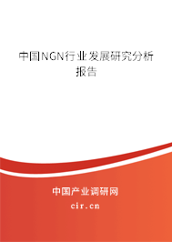 中國NGN行業(yè)發(fā)展研究分析報告