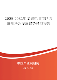 2024-2030年濕敏電阻市場深度剖析及發展趨勢預測報告 2024-2030年濕敏電阻市場深度剖析及發展趨勢預測報告