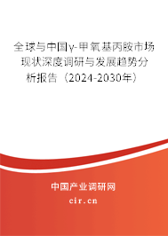 全球與中國γ-甲氧基丙胺市場現(xiàn)狀深度調(diào)研與發(fā)展趨勢分析報告（2024-2030年）