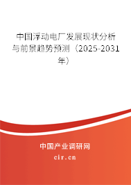 中國浮動電廠發展現狀分析與前景趨勢預測（2025-2031年）