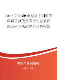 2022-2028年全球與中國聚丙烯可重復使用袋行業發展深度調研與未來趨勢分析報告