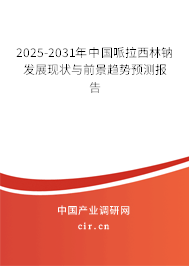 2024-2030年中國哌拉西林鈉發展現狀與前景趨勢預測報告