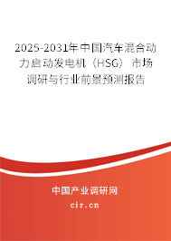 2025-2031年中國汽車混合動(dòng)力啟動(dòng)發(fā)電機(jī)（HSG）市場(chǎng)調(diào)研與行業(yè)前景預(yù)測(cè)報(bào)告