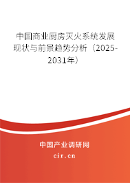 中國商業廚房滅火系統發展現狀與前景趨勢分析（2025-2031年）