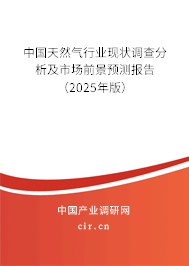 中國天然氣行業現狀調查分析及市場前景預測報告（2025年版）