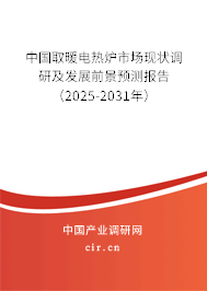 中國取暖電熱爐市場現狀調研及發展前景預測報告（2025-2031年）