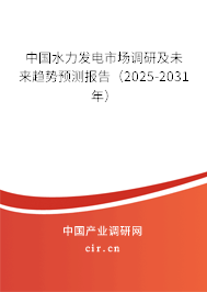 中國水力發電市場調研及未來趨勢預測報告(2025-2031年) 中國水力發電市場調研及未來趨勢預測報告(2025-2031年)