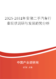 2025-2031年安徽二手汽車行業現狀調研與發展趨勢分析