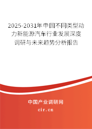 2025-2031年中國不同類型動力新能源汽車行業發展深度調研與未來趨勢分析報告 2025-2031年中國不同類型動力新能源汽車行業發展深度調研與未來趨勢分析報告