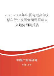 2025-2031年中國電動高爾夫球車行業(yè)發(fā)展全面調研與未來趨勢預測報告