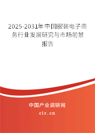 2025-2031年中國服裝電子商務行業發展研究與市場前景報告