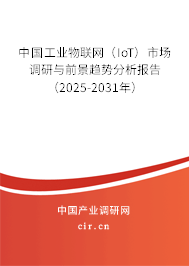 中國工業物聯網（IoT）市場調研與前景趨勢分析報告（2025-2031年）